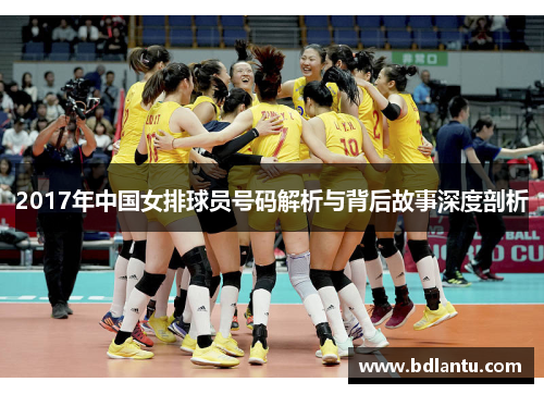 2017年中国女排球员号码解析与背后故事深度剖析